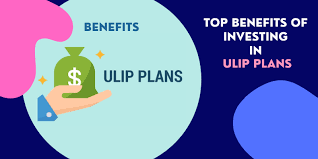 How do unit-linked insurance plans stand out in the investment vertical?